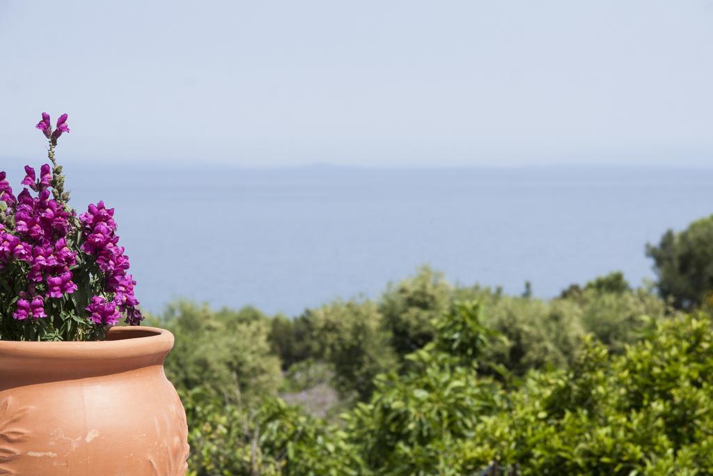 Casa Petra - Stone Cottage Farmhouses Αργάσι Εξωτερικό φωτογραφία